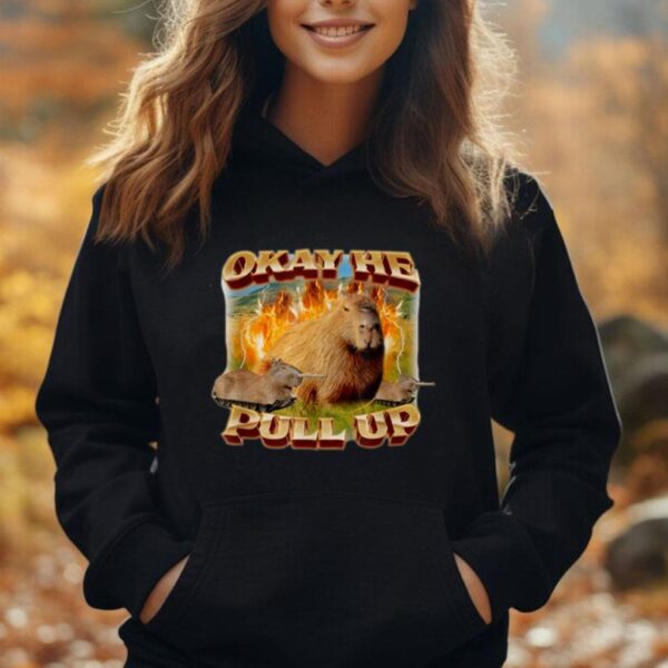 Okay He Pull Up Funny Capybara Lover Unisex Hoodie